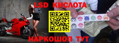 крисы Донецк