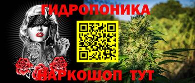 эйфоретик Дубна